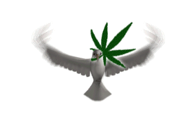 peacedove_thc