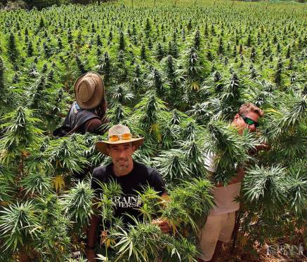 4e58ca18d0c5030e0bc8e50701577b02ec6c0c75